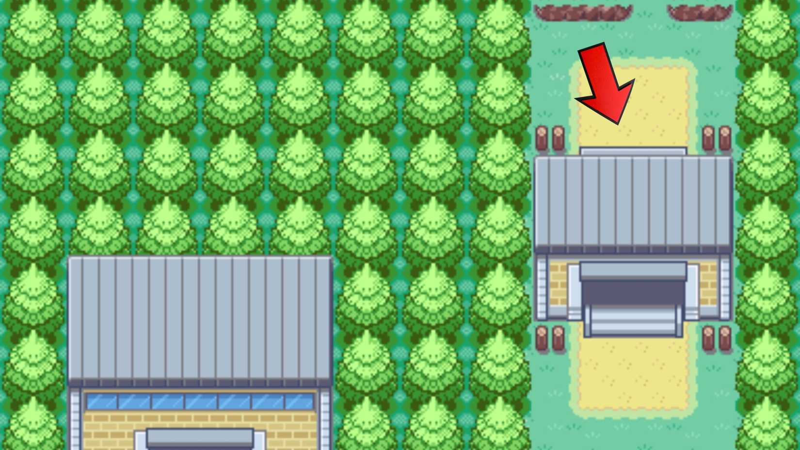 Professor Oak's sidekick hm05 on path 2 flash in pokemon leaf green color