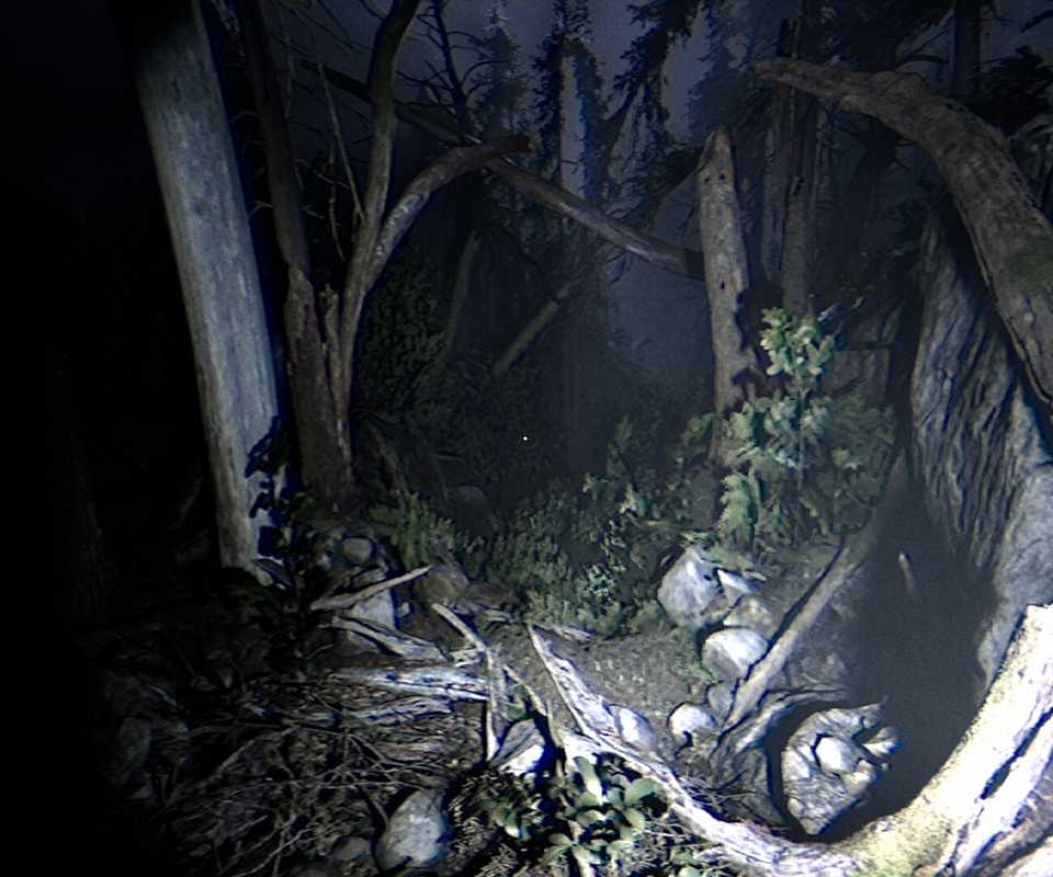 together after dark woods