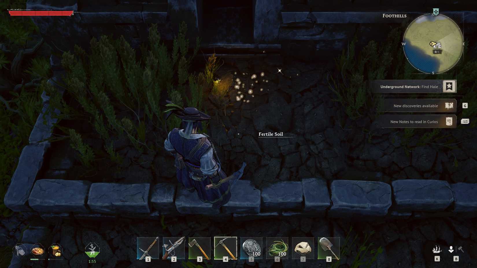 Windrose fertile soil