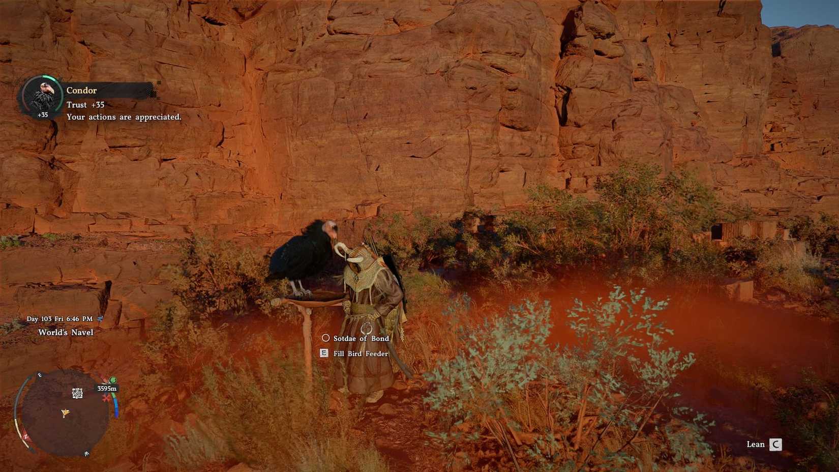 진홍빛 사막에서 콘도르에게 먹이를 주는 모습