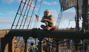 AC Black Flag Resynced Pet Monkey