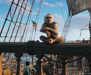 AC Black Flag Resynced Pet Monkey