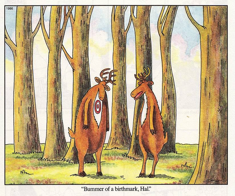 You Can't Miss These 5 Hilarious The Far Side Comic Strips