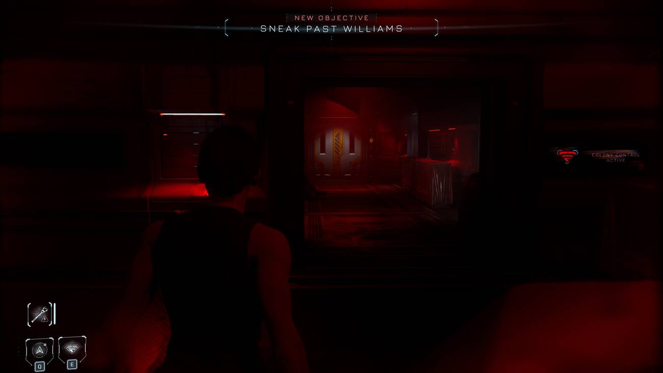 Directive 8020 Sneak Past Williams