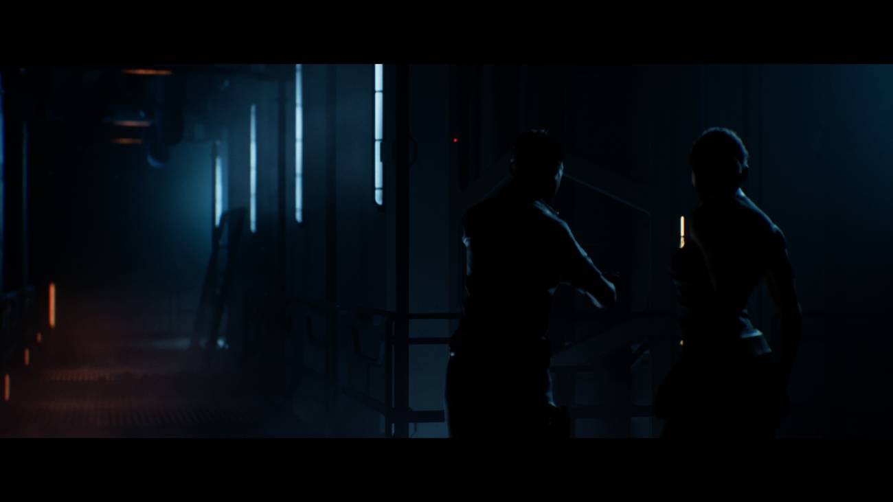 Directive 8020 Young and Cooper-1