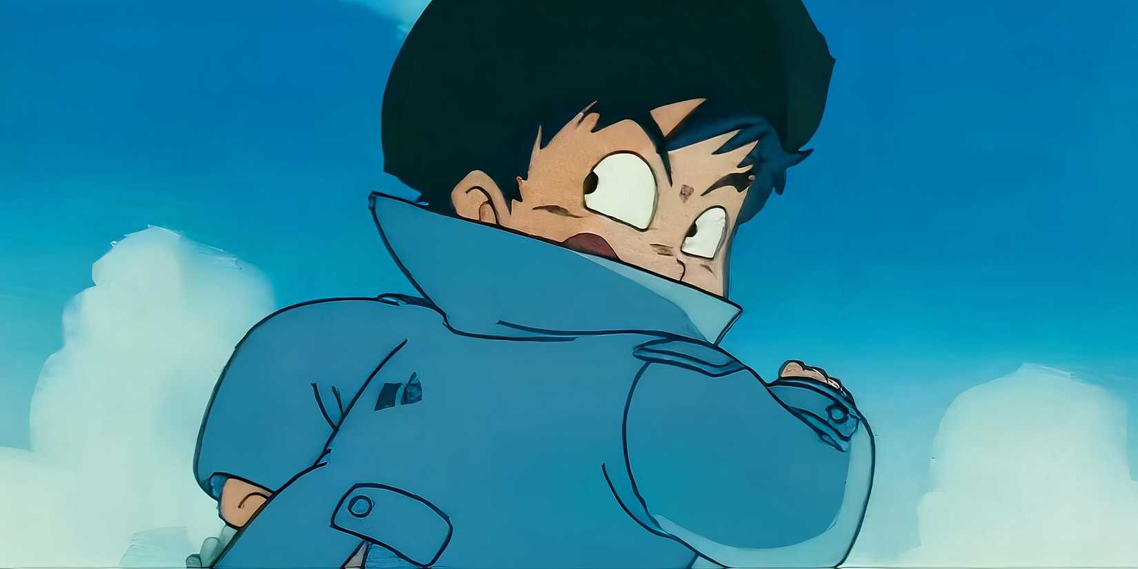 Dragon Ball Thief Boy character