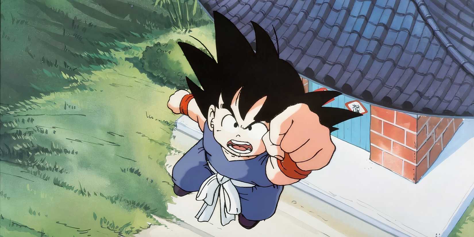 Dragon Ball Son Goku
