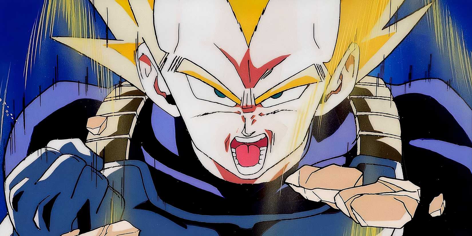 Dragon Ball Z Vegeta