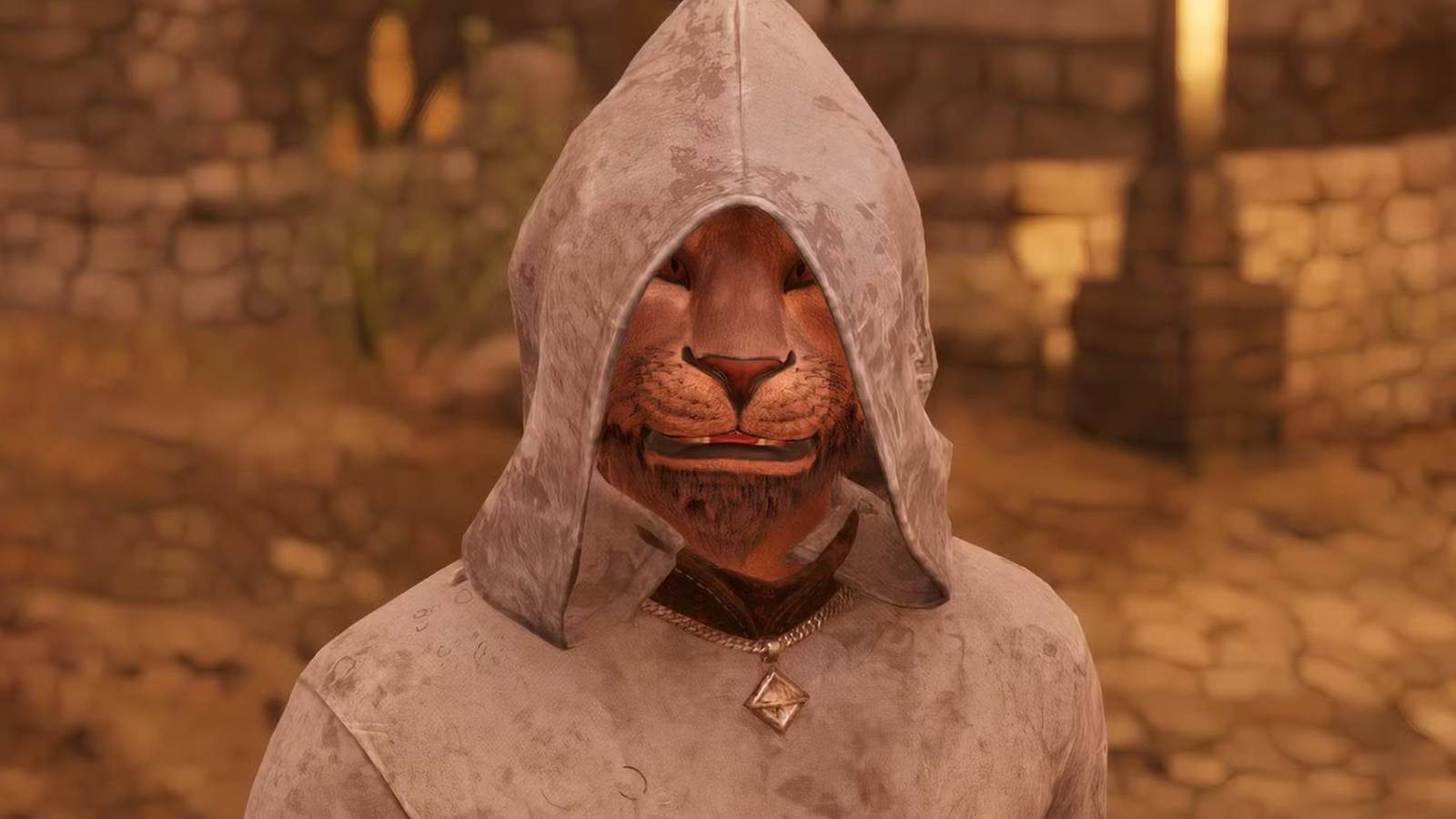 Elder Scrolls Fan Spots a Cat Named M’aiq the Liar at a Pet Store Elder Scrolls Fan Spots a Cat Named M’aiq the Liar at a Pet Store
