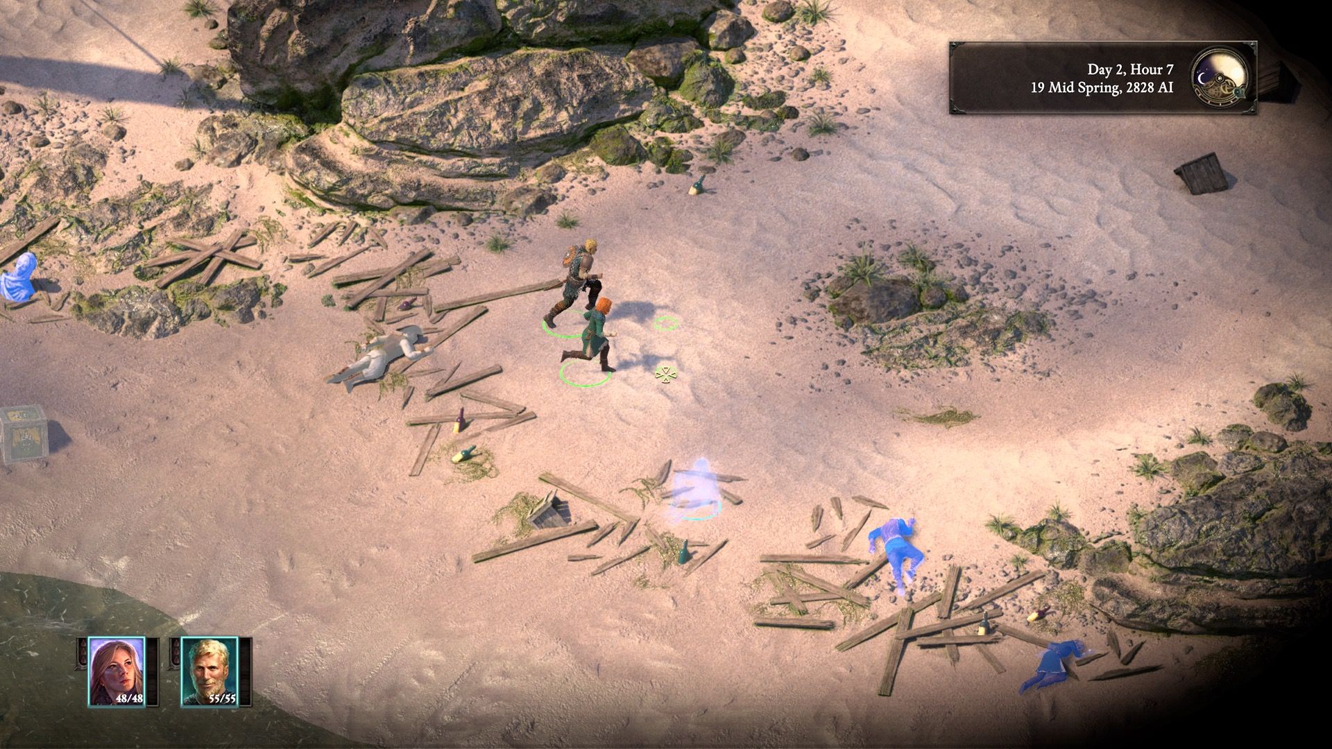 Exploring a beach in Pillars of Eternity 2 (2018)