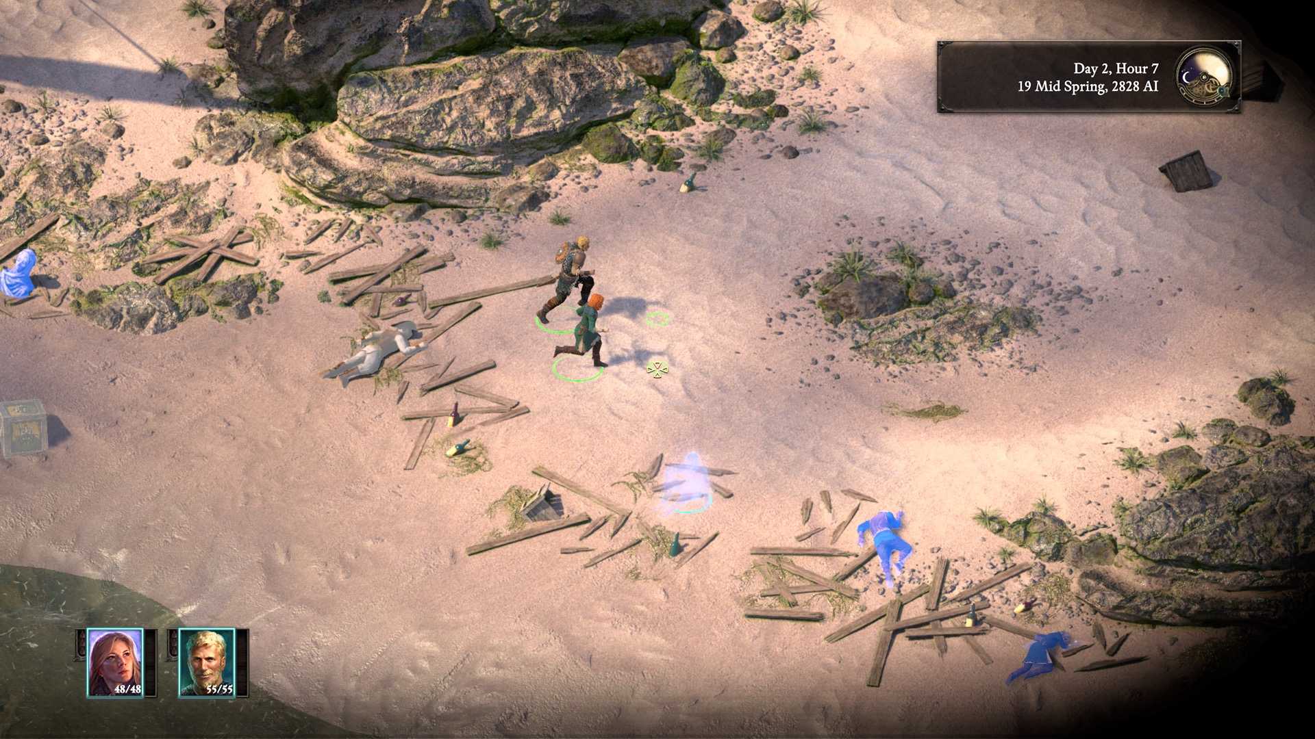 Exploring a beach in Pillars of Eternity 2 (2018)