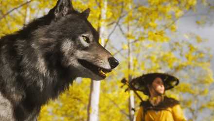 A ghost of a Yotei screenshot depicting Atsu and his wolf in a ginko forest in broad daylight.