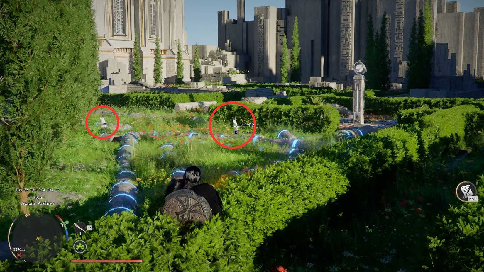 How to Catch 3 Chappies in the Crimson Desert Mysterious Ecosystem (5)