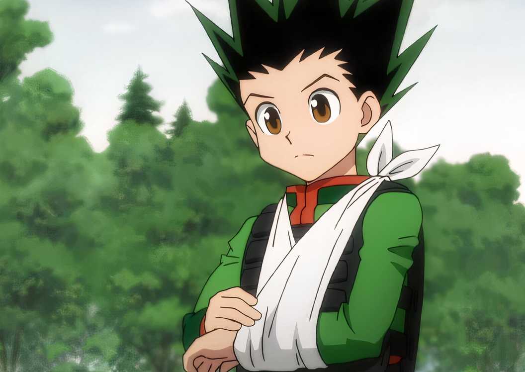 Neferpitou Draw Hunter x Hunter Author Gives New Update on Future Projects