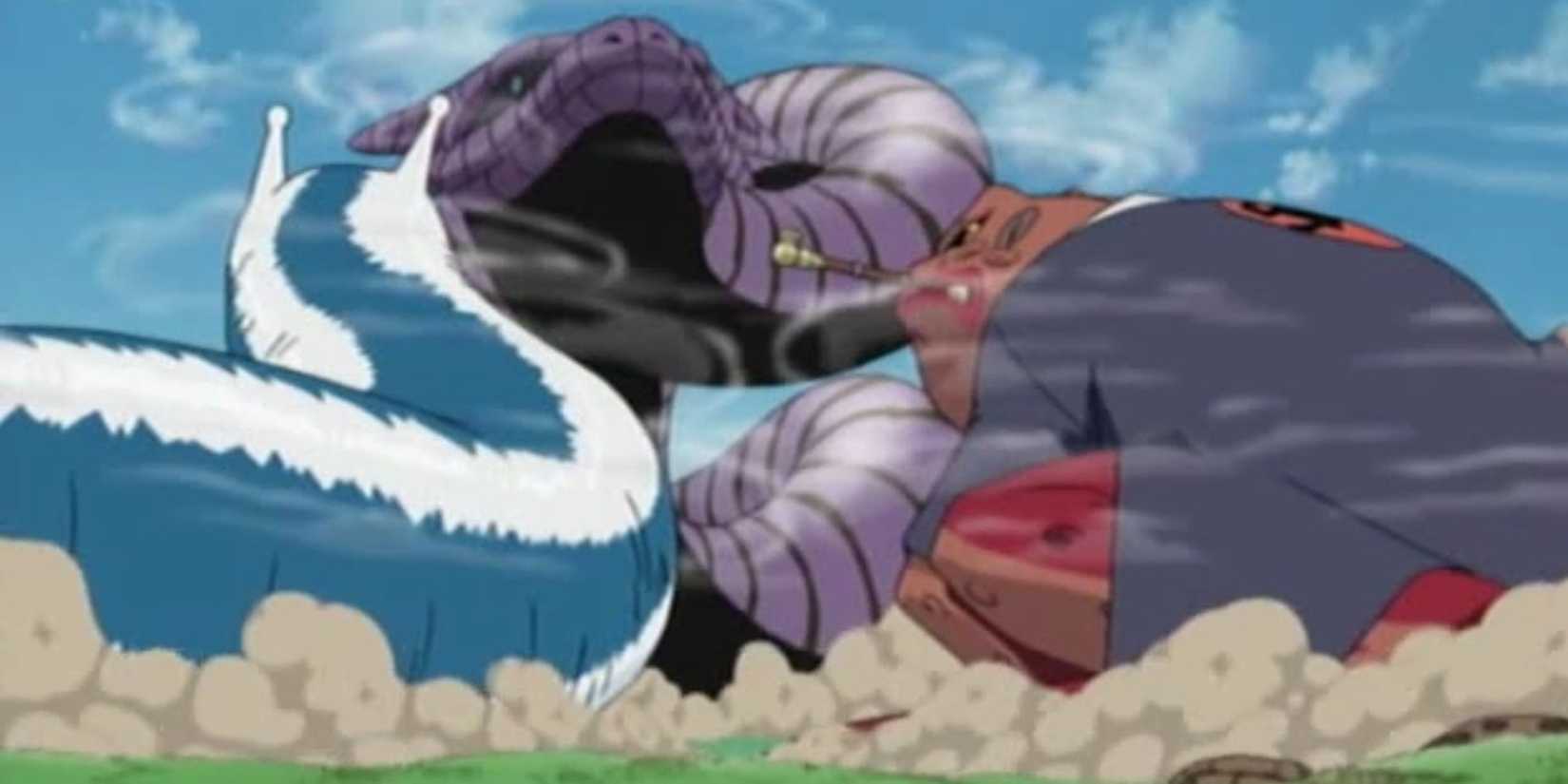 Manda, Gamabunta, dan Katsuyu bertarung.