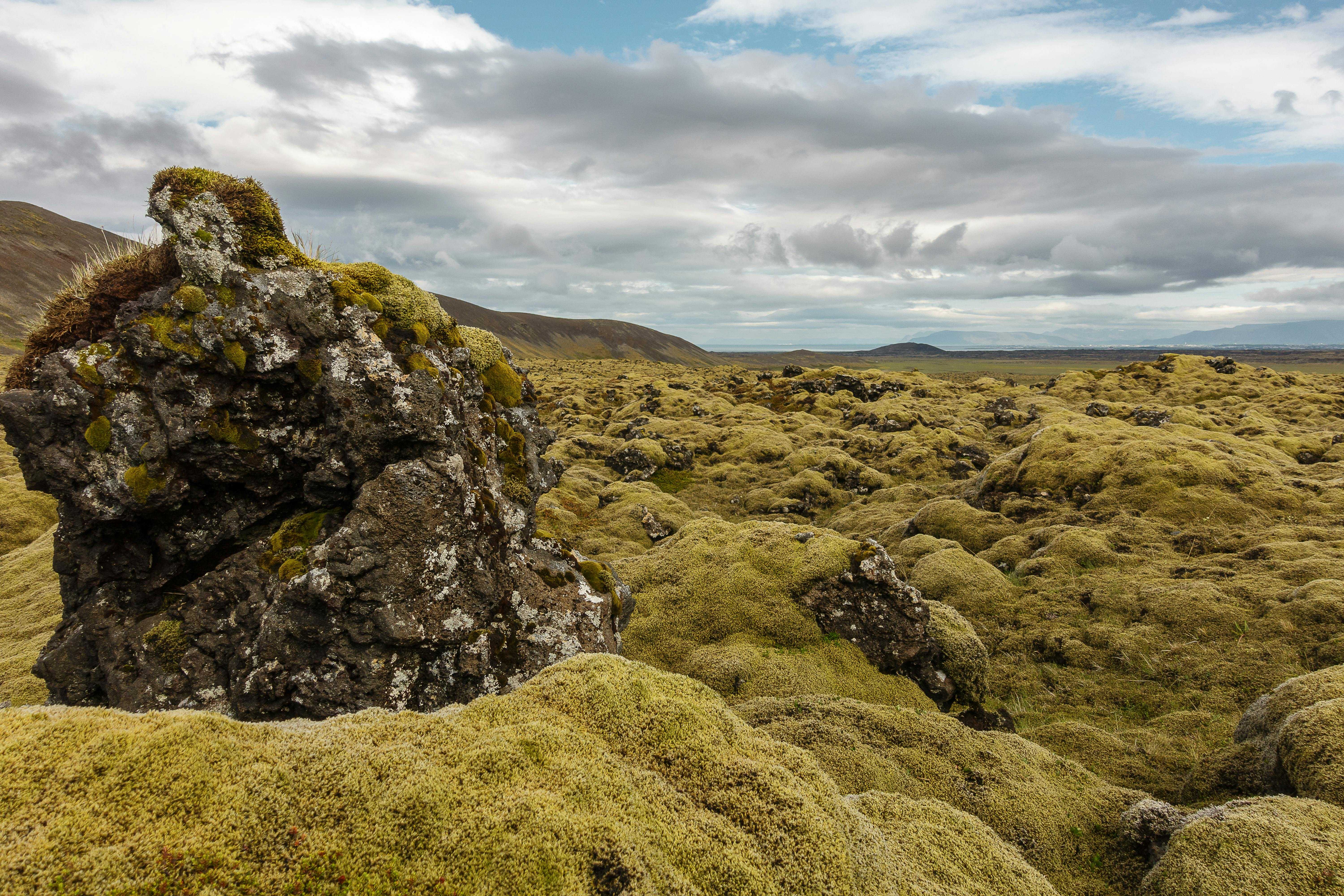The Most Beautiful Natural Worlds in Gaming (And What Inspired Them)