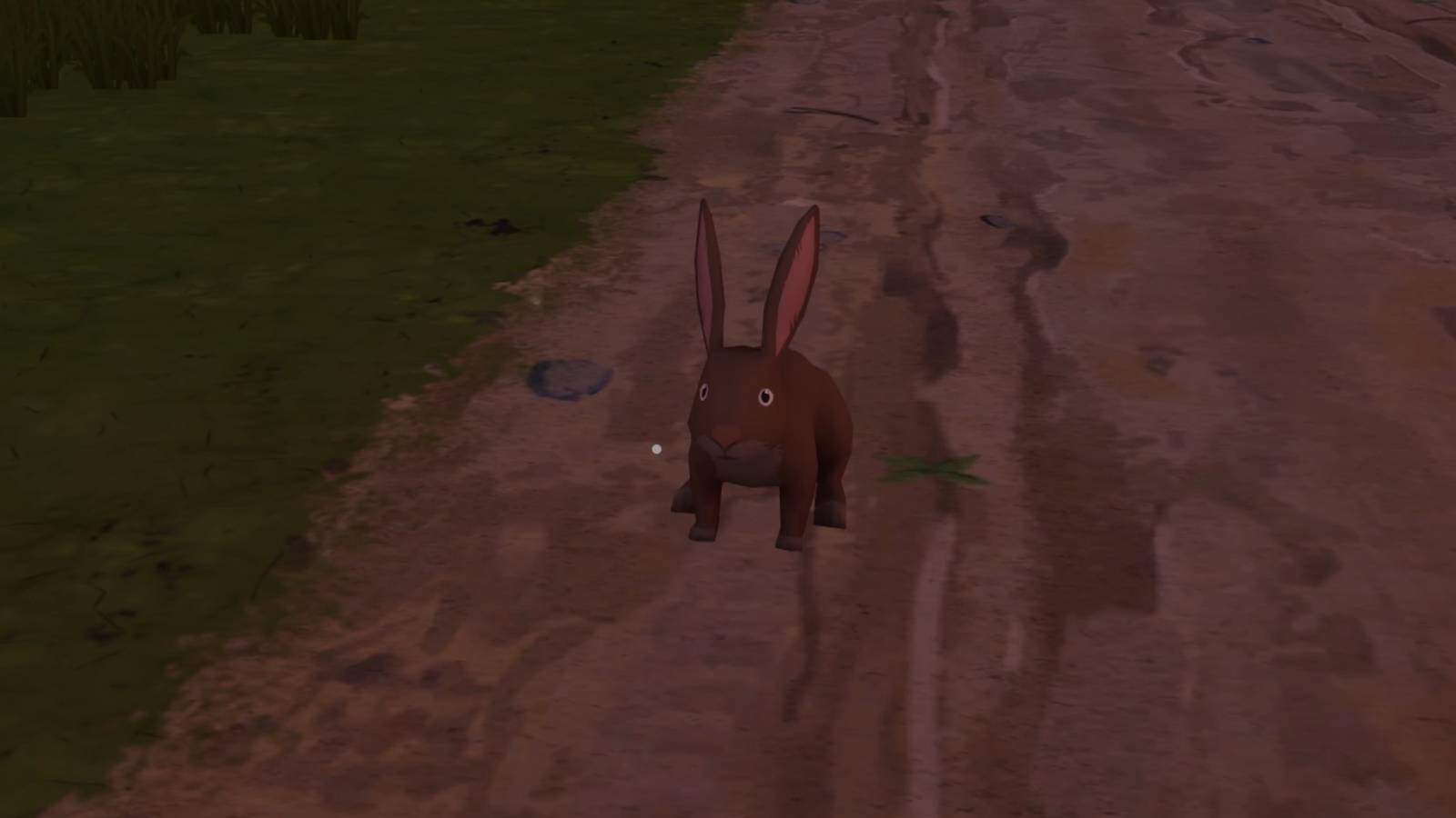 What Does Feeding and Petting Rabbits Do in Outbound? Explained