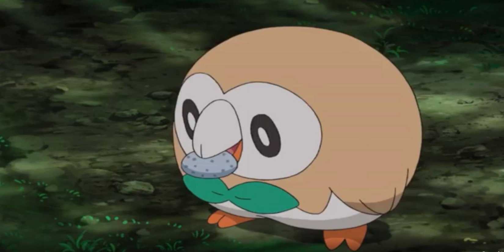 Rowlet Getting Ready to Swallow Everstone for Bullet Seed Training Pokémon the Series_ Sun & Moon episode 97 No Stone Unturned!