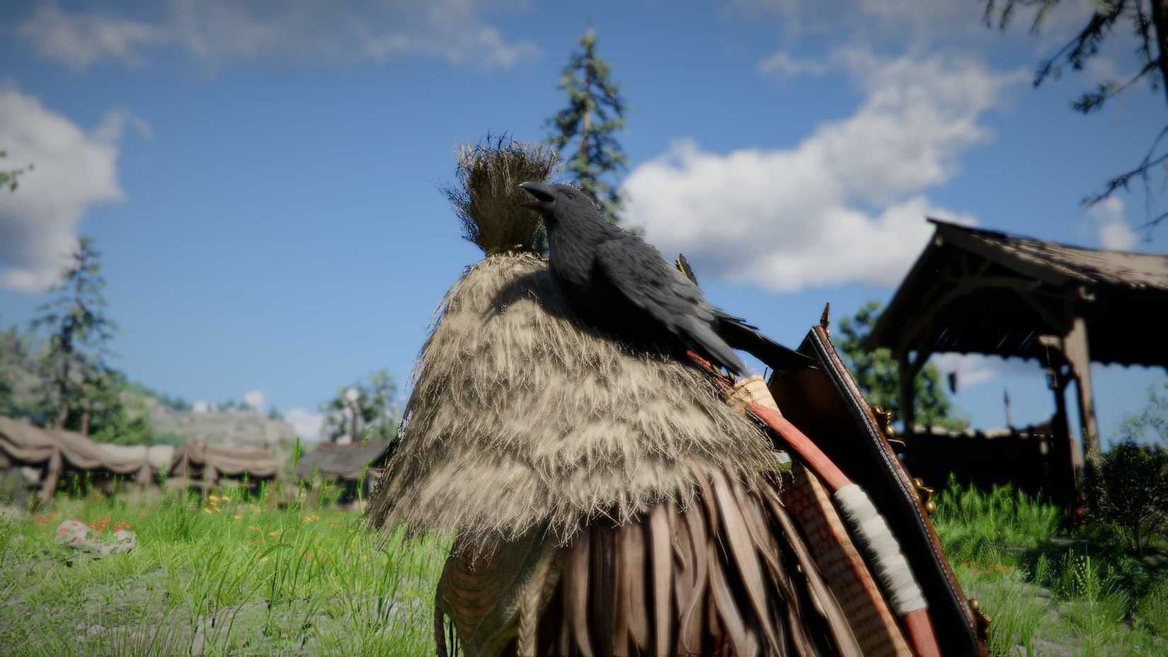 진홍사막 까마귀 애완동물