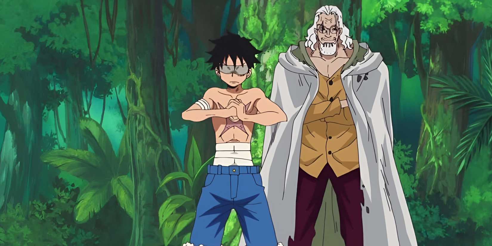 shonen anime strongest sensei student duos-luffy and rayleigh