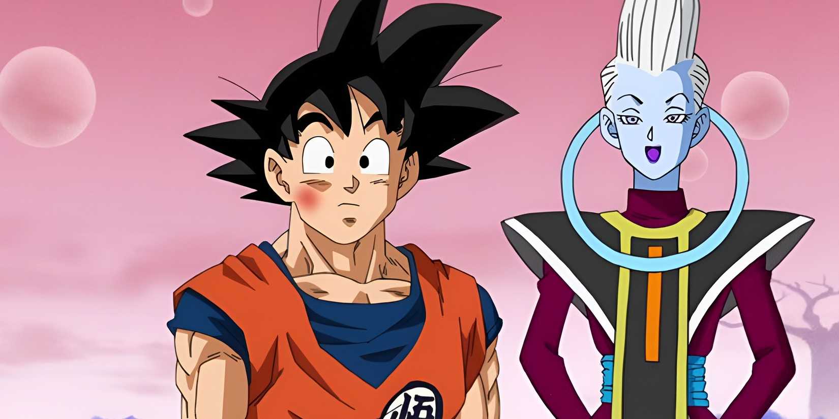 shonen anime strongest sensei student duos-whis and goku