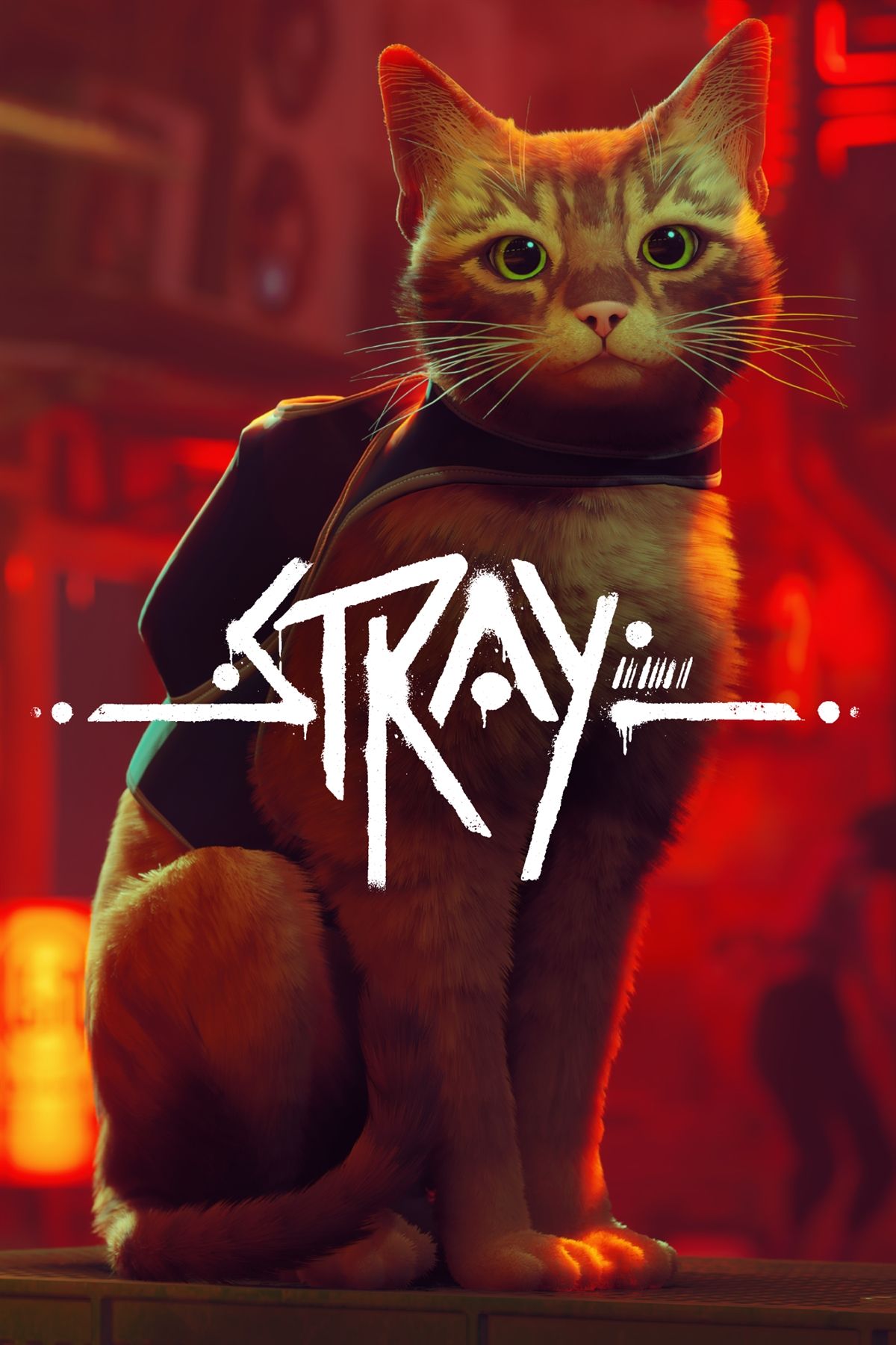 Stray News, Trailer, Guides, and More