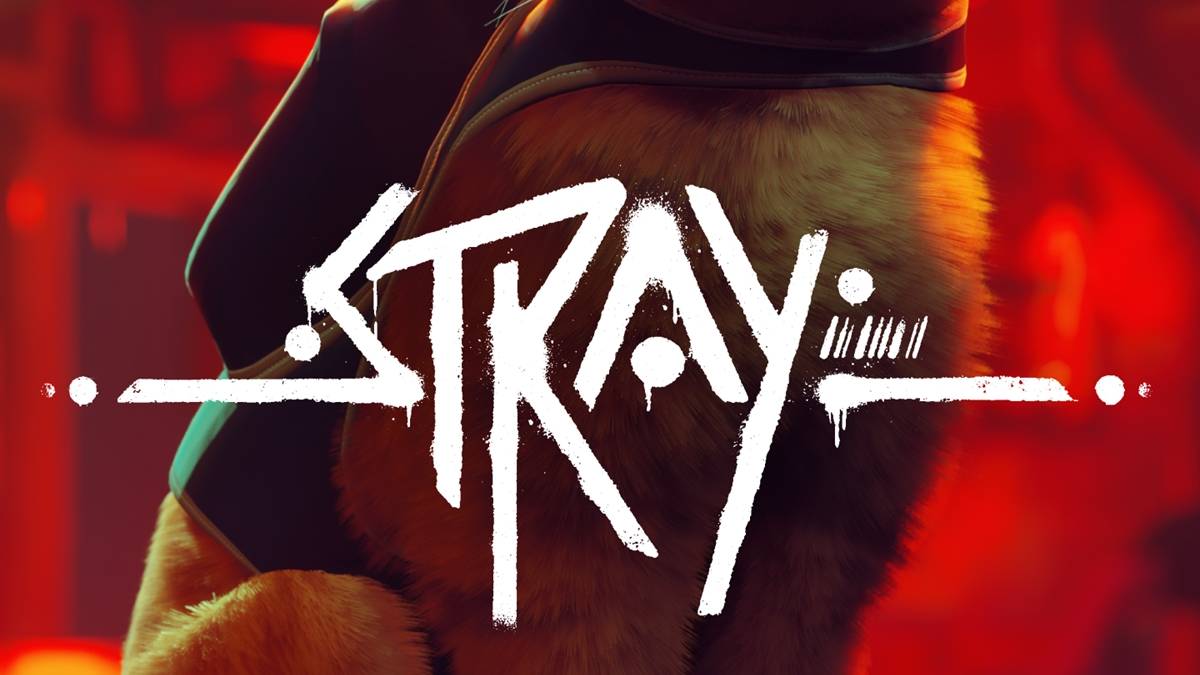 Stray News, Trailer, Guides, and More