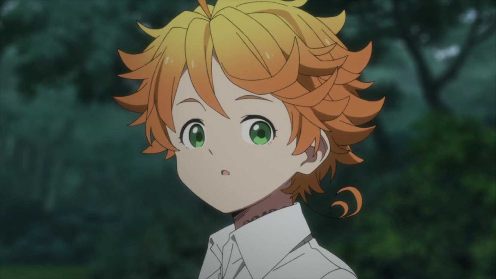 The Promised Neverland Anime Series Imperfect Conclusions