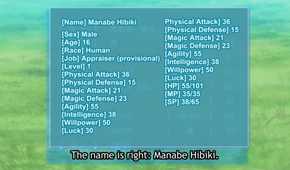 The Strongest Job is Apparently Not a Hero or a Sage, but an Appraiser (Provisional) hibiki's stats