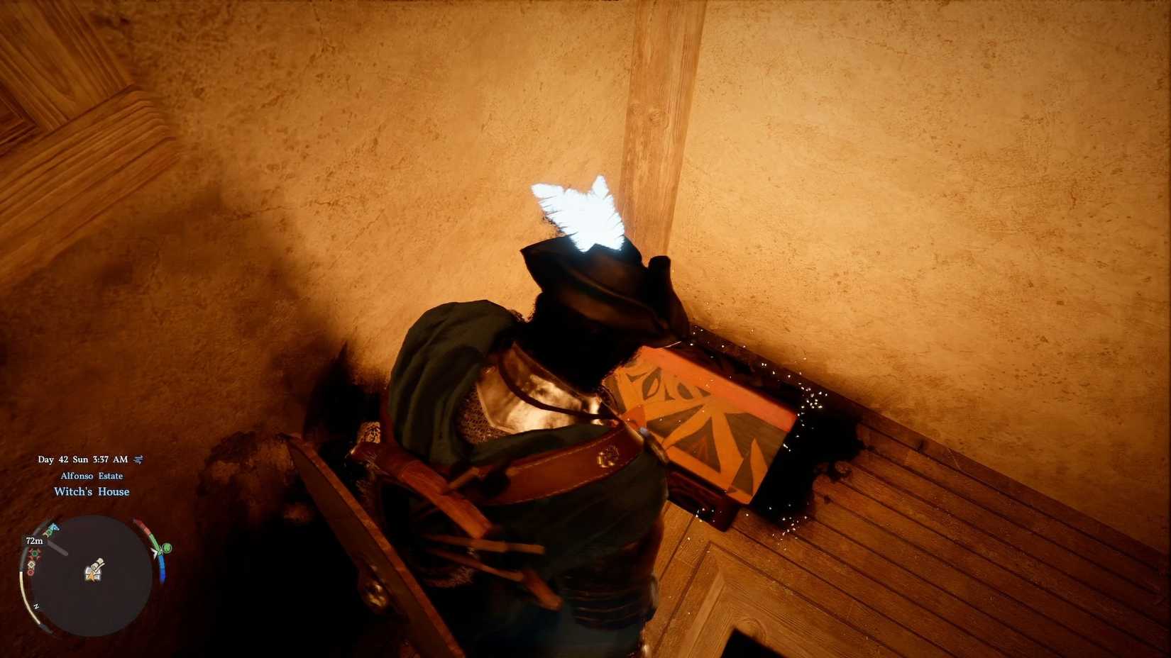 using Pirate King Hat Glowing Crimson Desert Feathers (2)