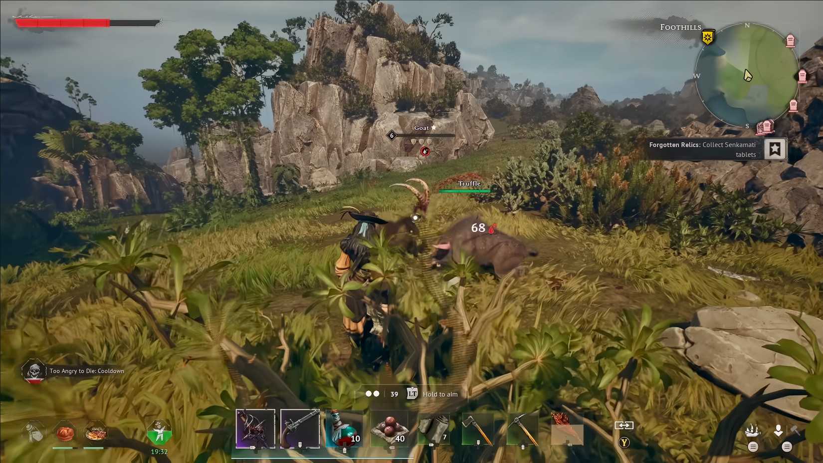 wind rose-truffle-fight