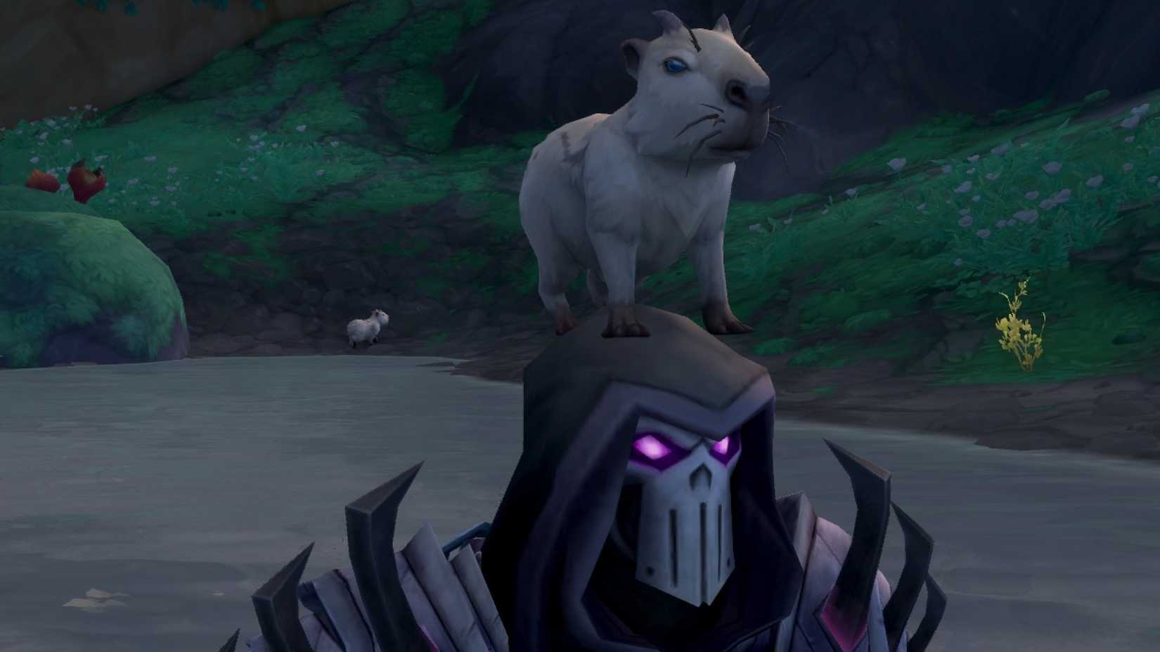 world of warcraft midnight kapara capybara on head