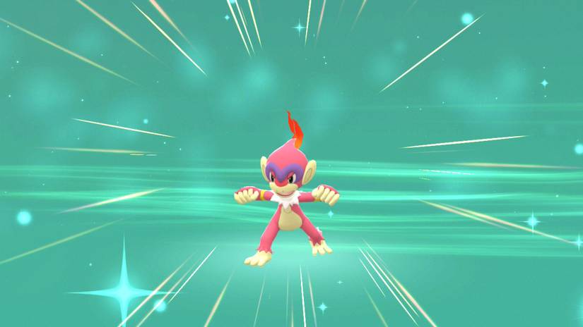 A shiny Monferno in Pokemon Shining Pearl's evolution screen