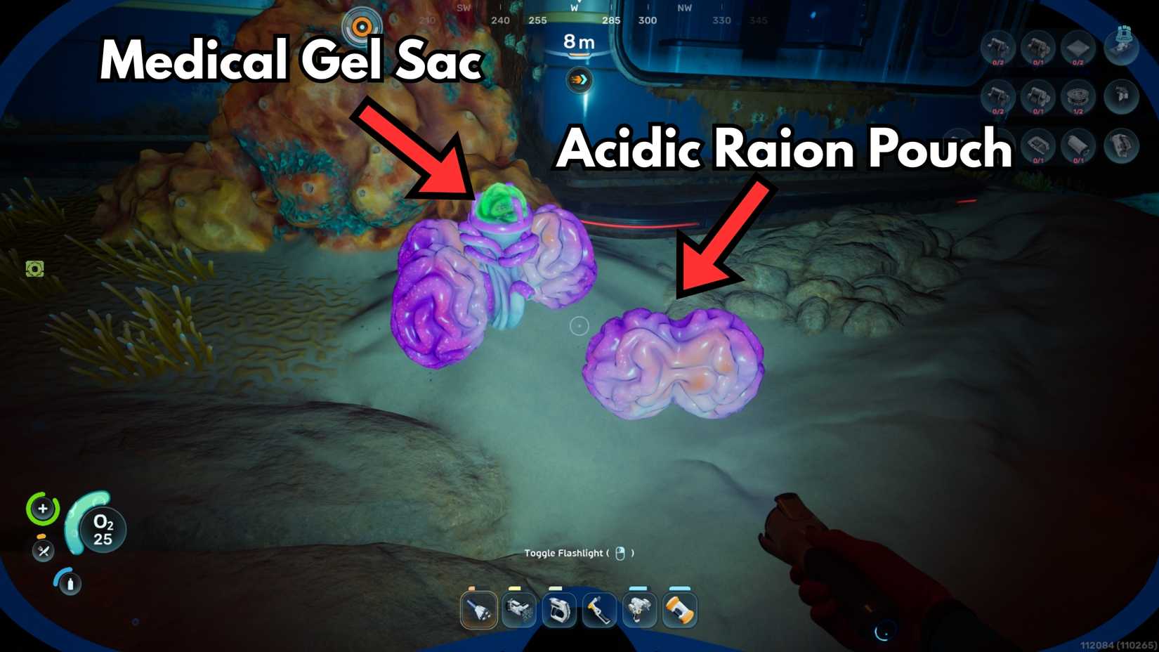 Acidic Raion Pouch in Subnautica 2