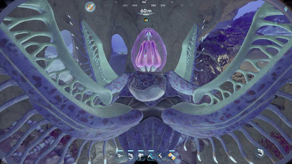 angel comb touch to get adaptation in subnautica 2