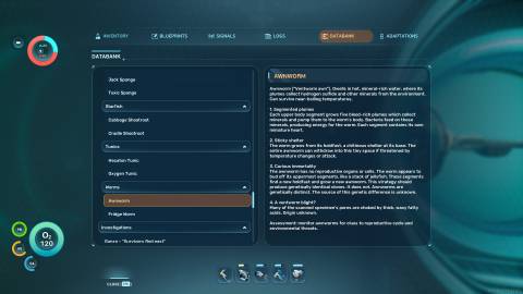 Awnworm Databank in Subnautica 2