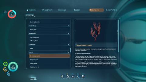 Branching Coral  Databank in Subnautica 2
