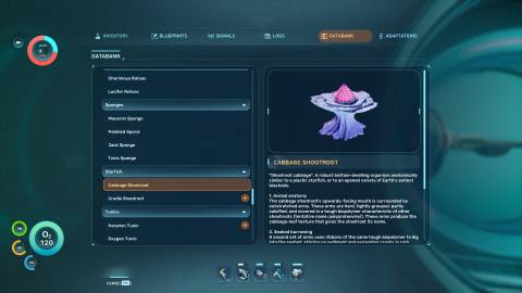 Cabbage Shootroot Databank in Subnautica 2
