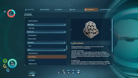 Cage Gorgon Databank in Subnautica 2