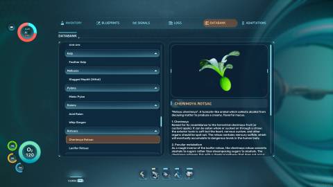 Cherimoya Rotsac Databank in Subnautica 2