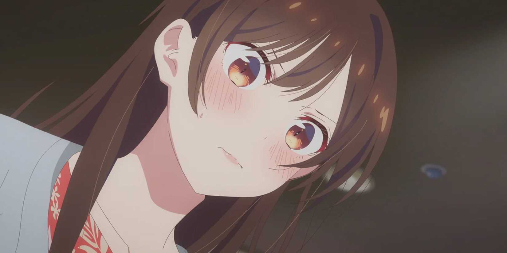 most problematic harem anime