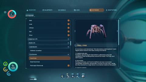 Coral Crab Databank in Subnautica 2