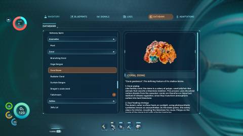 Coral Dome Databank in Subnautica 2