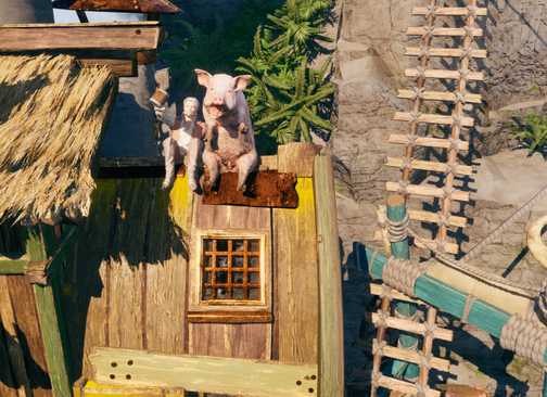 Babi Corsair Cove di rumah beratap jerami
