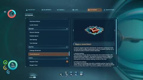 Cradle Shootroot Databank in Subnautica 2