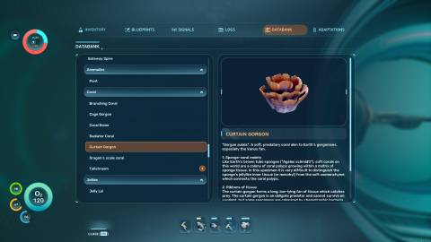 Curtain Gorgon Databank in Subnautica 2