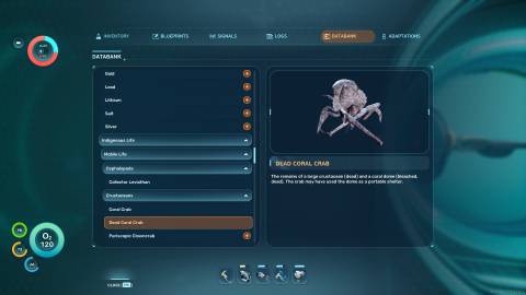 Dead Coral Crab Databank in Subnautica 2