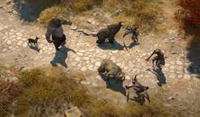 A Druid as a bear in combat in Diablo 4.