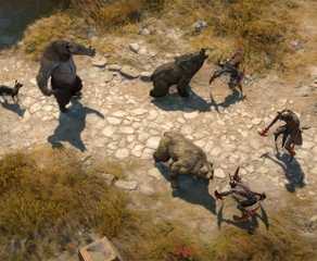 A Druid as a bear in combat in Diablo 4.