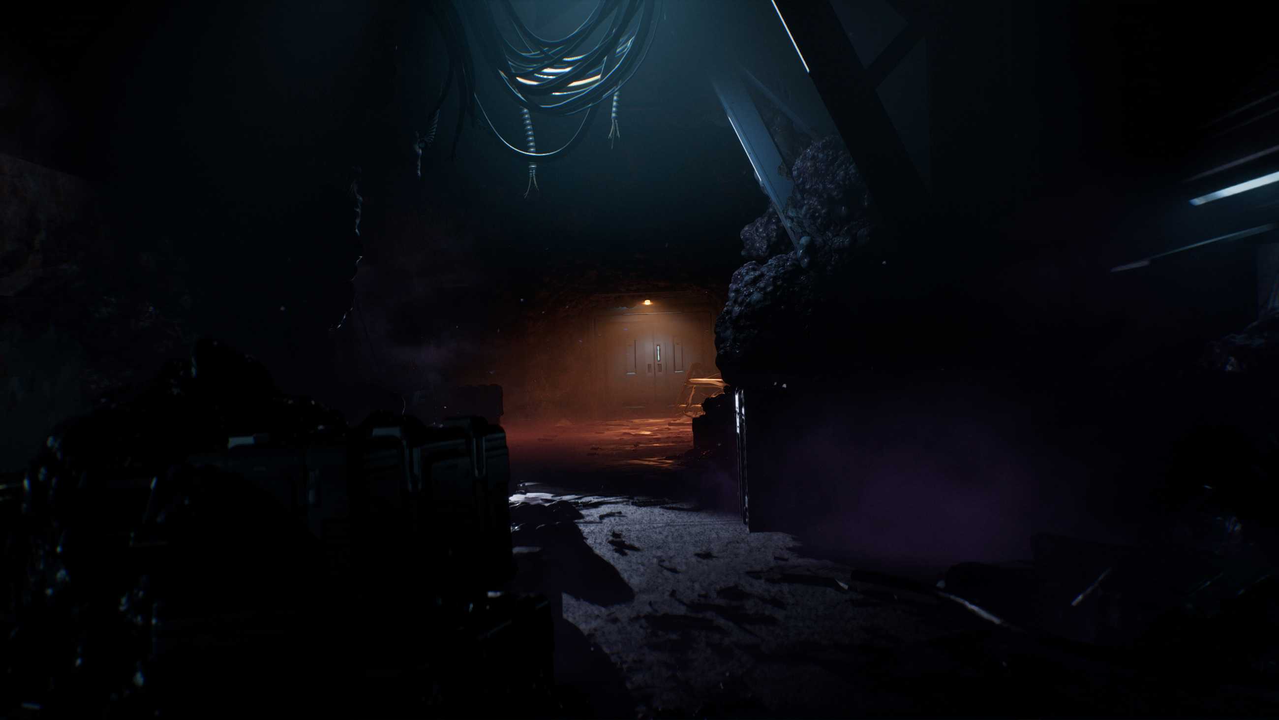 Directive 8020 screenshot 2